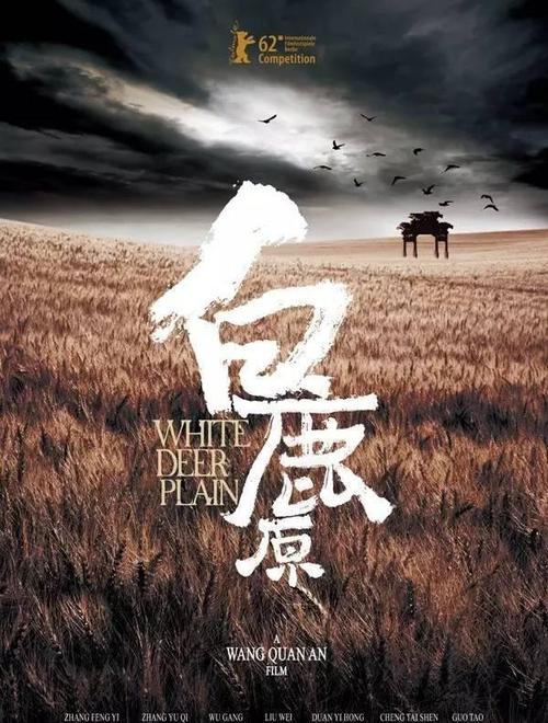 买个假爱尔兰身份证